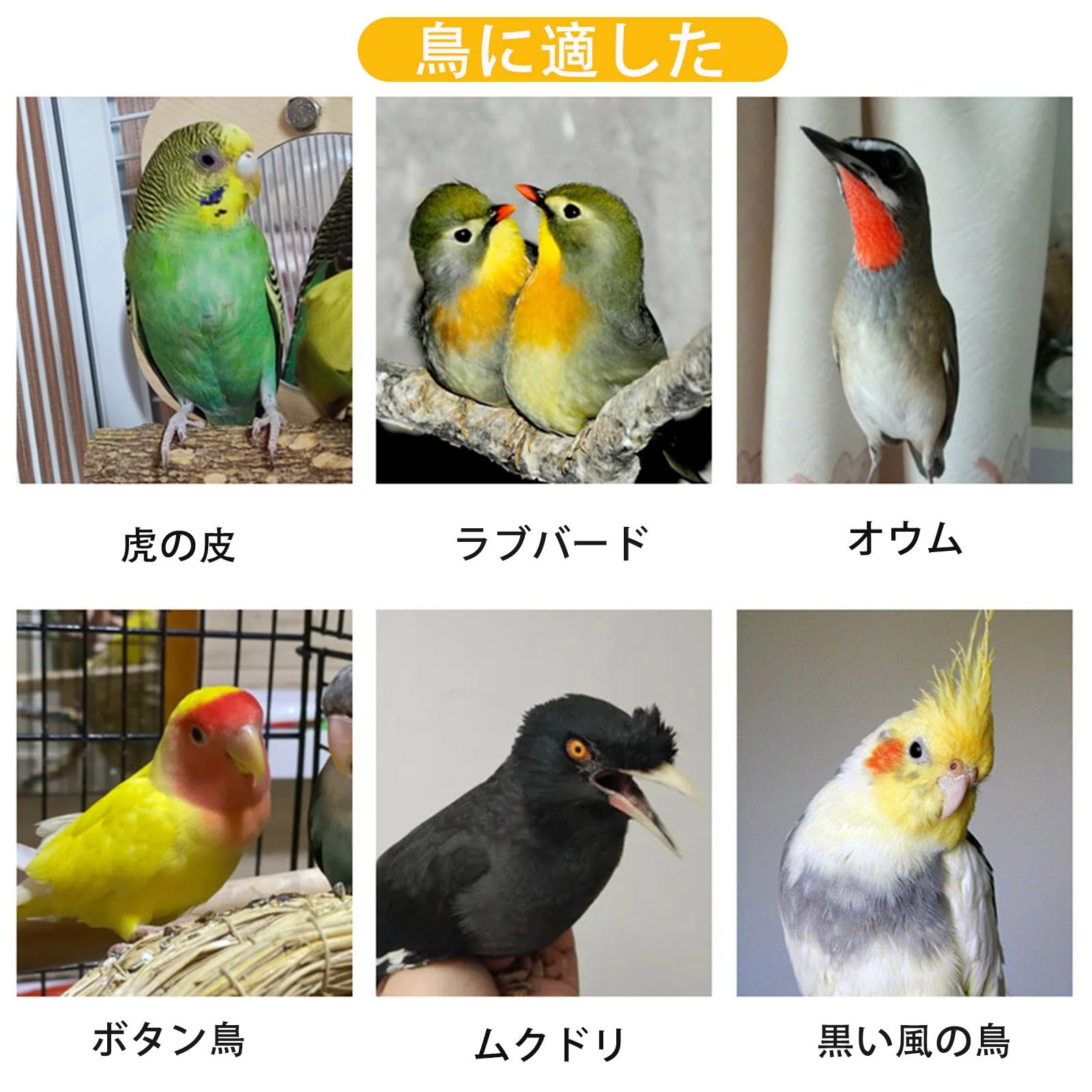 Amazon.co.jp: 鳥かご 鳥籠 鳥 ケージ インコ ケージ 簡単に移動できる